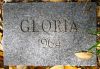 Love, Gloria